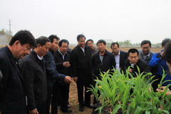 必发集团app下载装置(中国游)官网