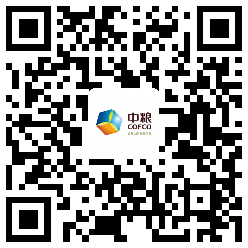 搜索效果 - 必发集团app