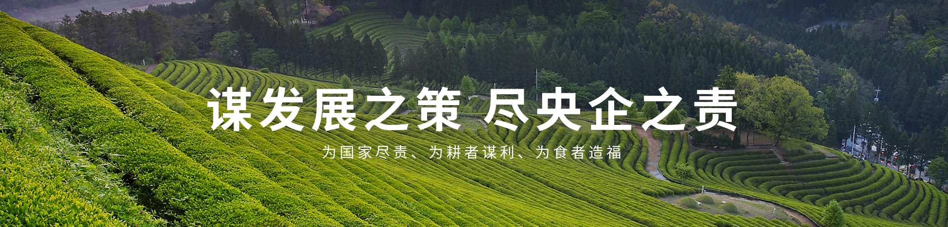 必发集团app下载装置(中国游)官网